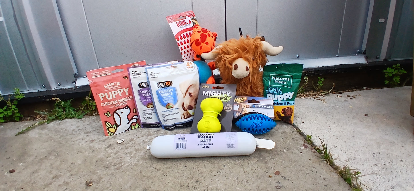 Puppy's First Playdate Bundle.