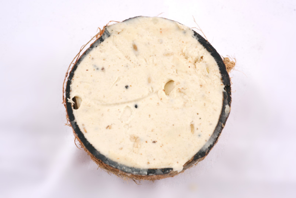 Half coconut feeder