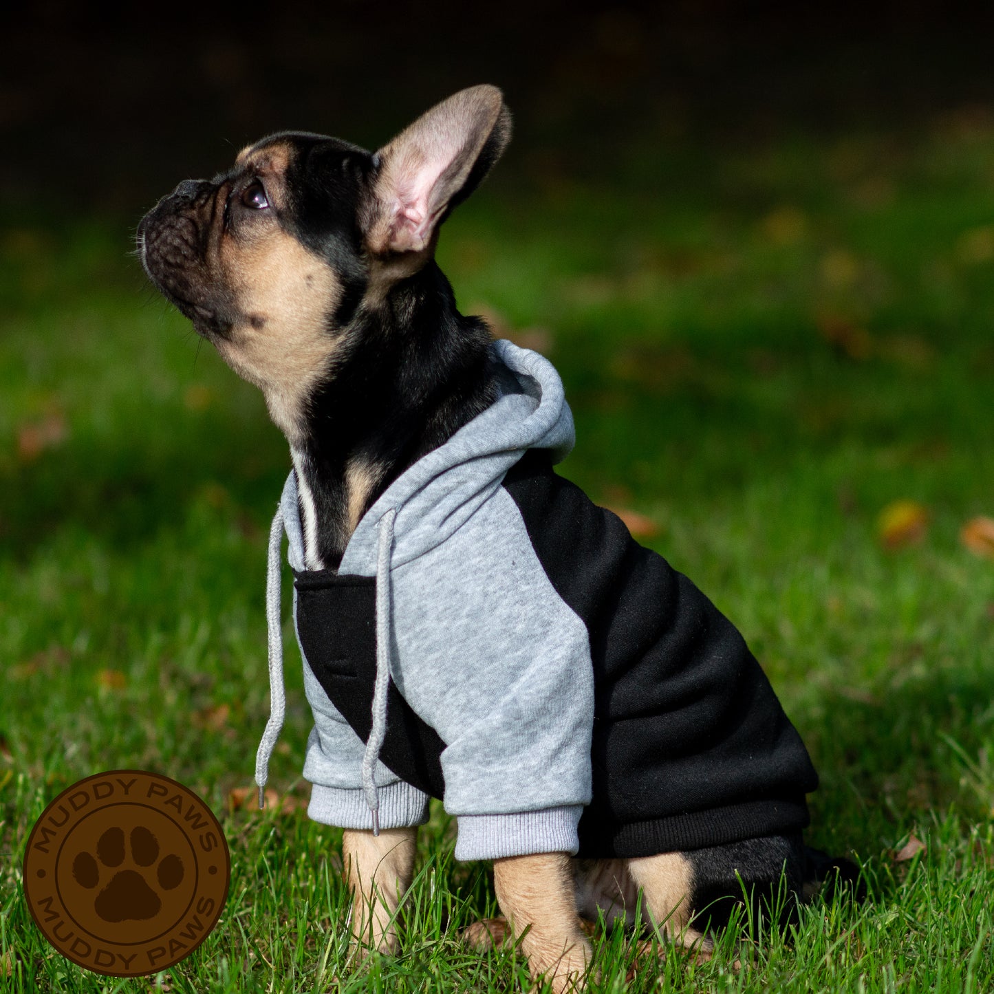 Muddy Paws by Ancol Grey and Black Dog Hoodie.