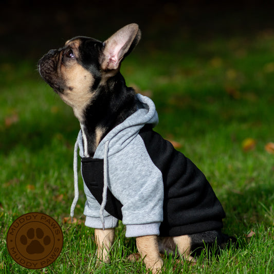 Muddy Paws by Ancol Grey and Black Dog Hoodie.