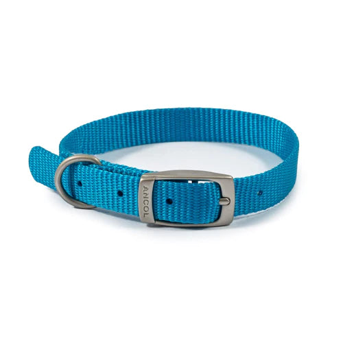 Ancol viva Buckle dog collar