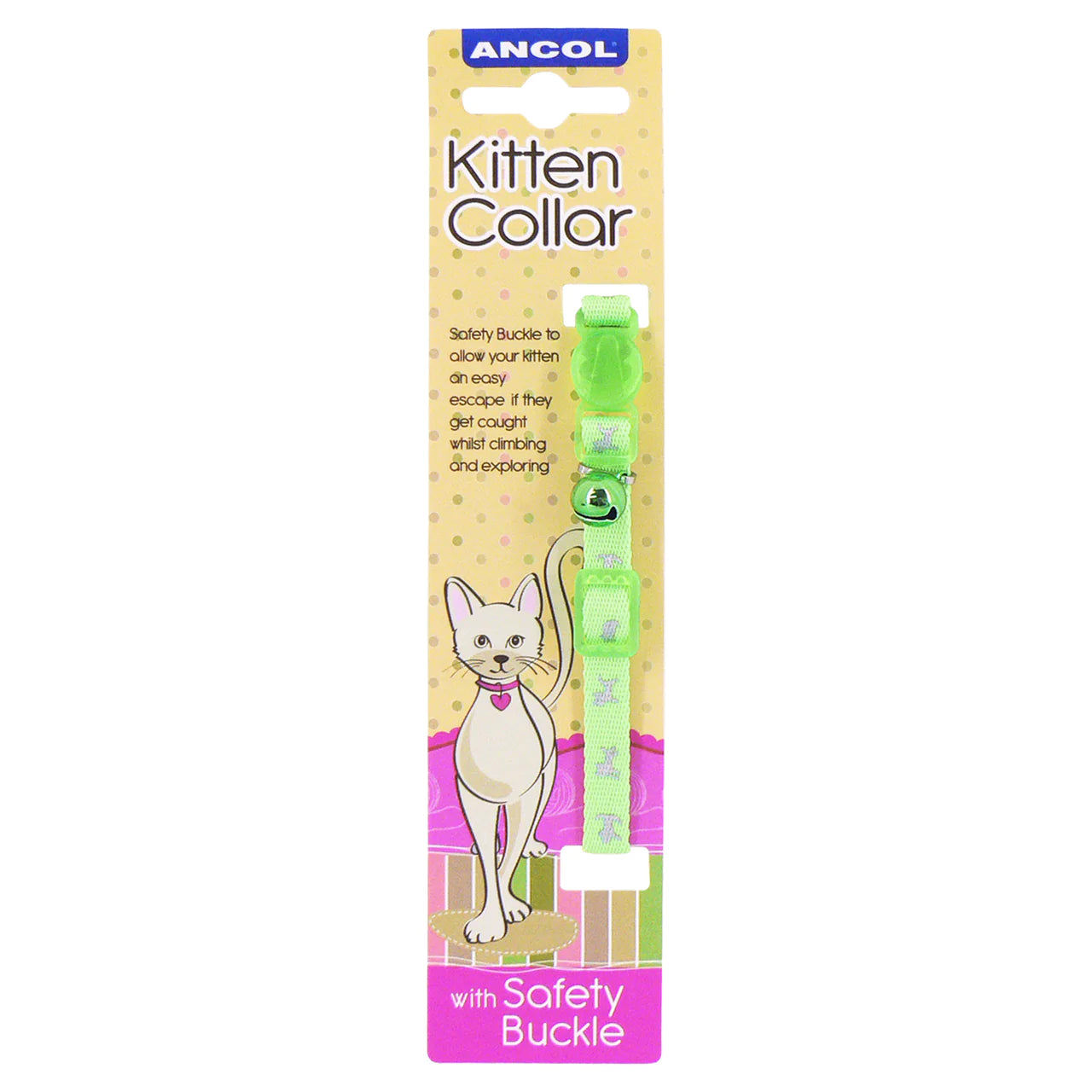 Kitten collar.
