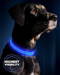 LED flashing band collar.