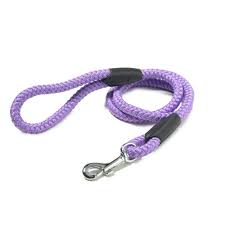 Bestpets Nylon Rope Lead
