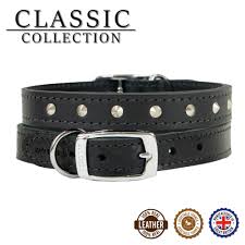 Classic Collection Leather Dog Collar with Studs