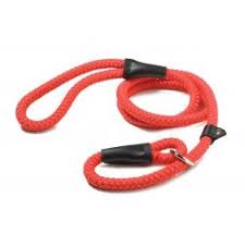 Ancol Nylon Rope Slip Lead 1.2cm x 122cm