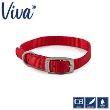 Ancol viva Buckle dog collar