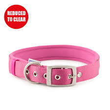 Viva Padded Dog Collar