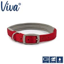 Viva Padded Dog Collar