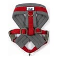 Viva padded harness (medium)