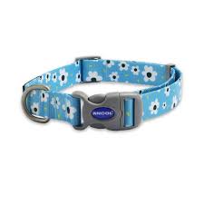 The Soho Collection Dog Collars