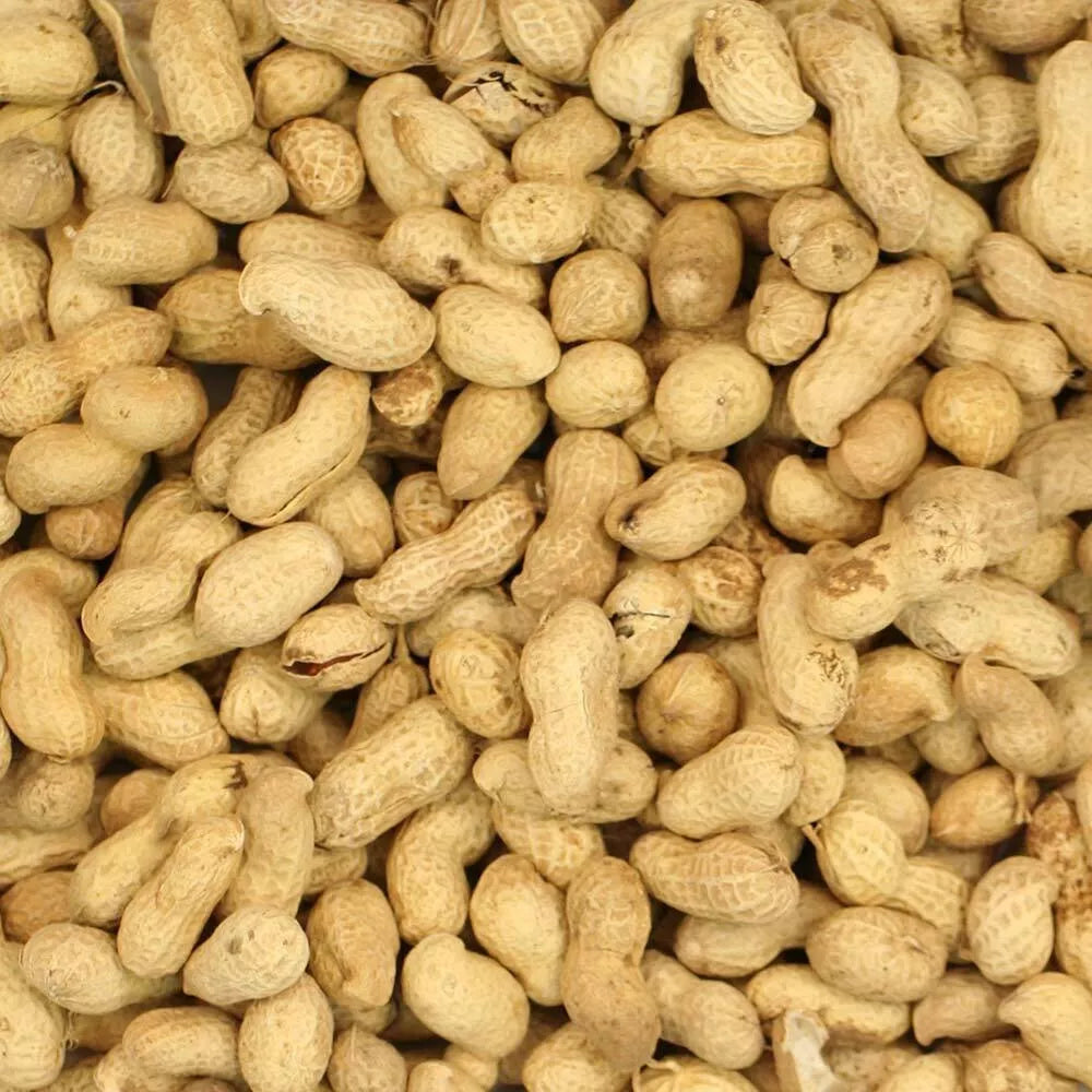 Johnston & Jeff Monkey Nuts 650g
