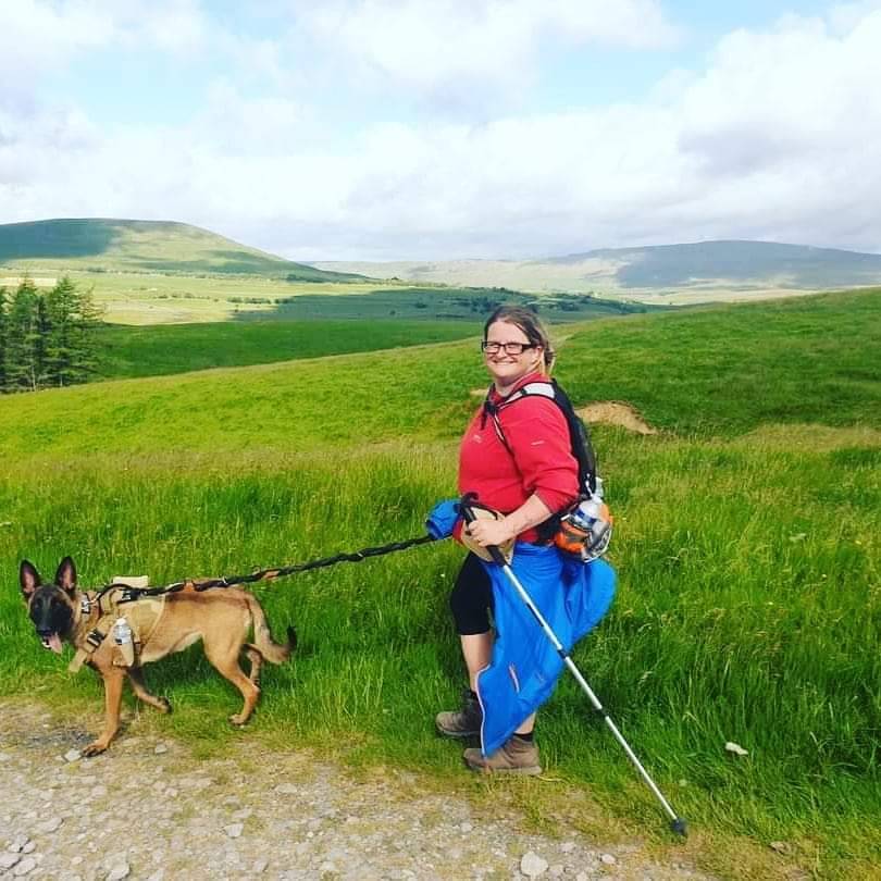 Hiking with your dog - everything you need to know.
