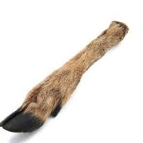 Hairy Venison Leg