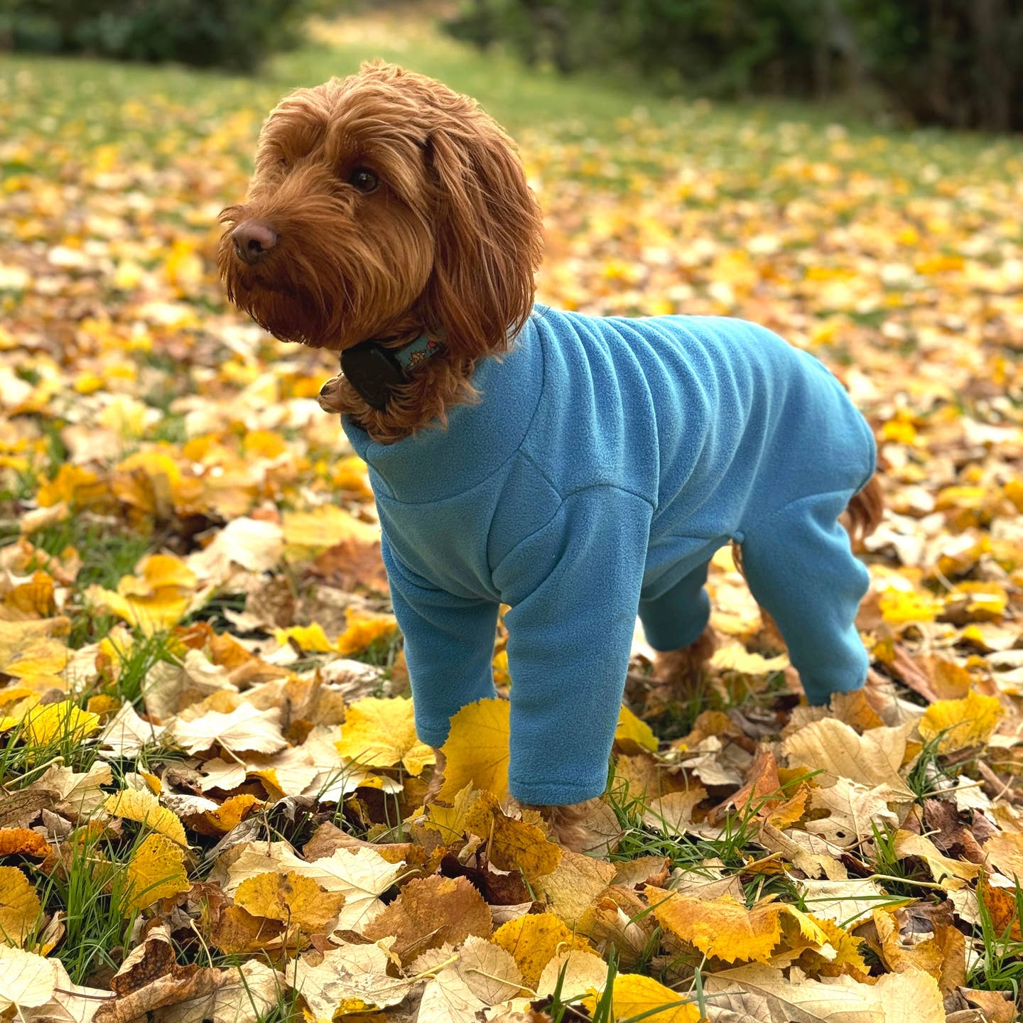 Petwiz full body fleeces
