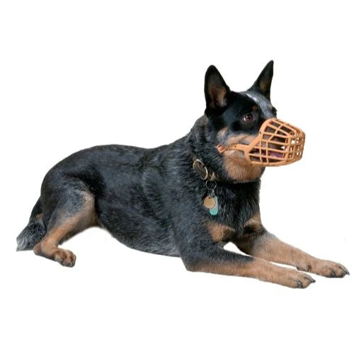 Baskerville Anti scavenge muzzle size 3.