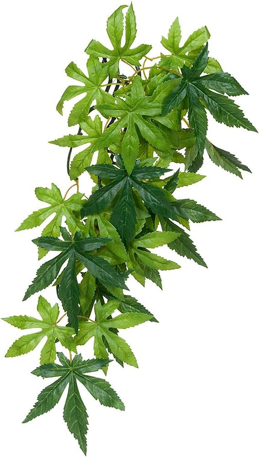 Exo terra Jungle plant.