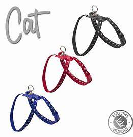 Ancol cat harness and lead set.