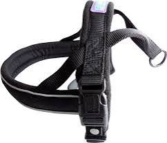 Dog & Co Harness