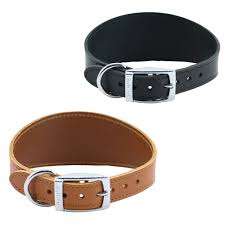 Ancol Classic Collection Luxury Hound Dog Collar