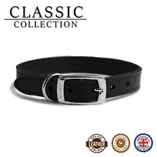Ancol Leather Dog Collar