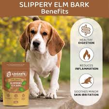 Logan's Slippery Elm Bark Powder