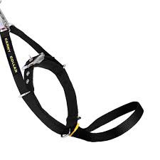 CannyCollar (size 2)
