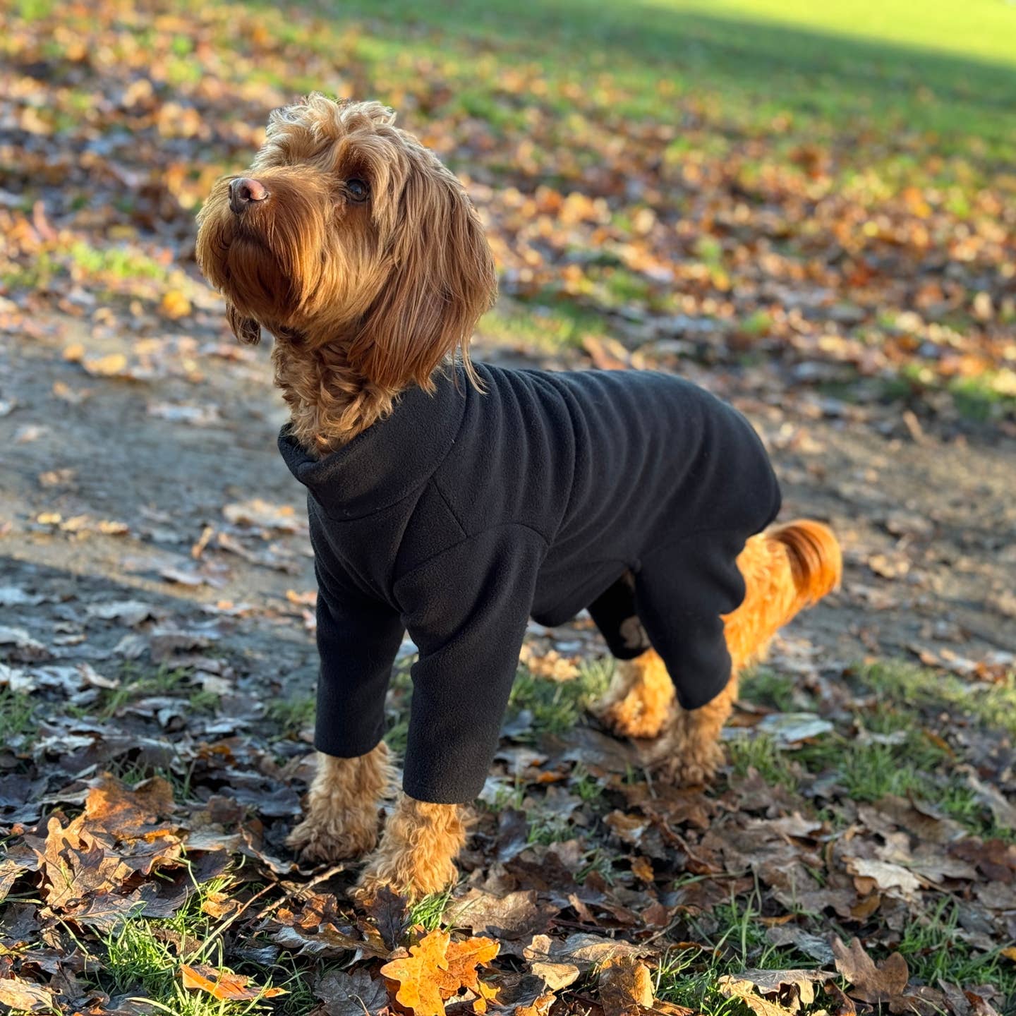 Petwiz full body fleeces