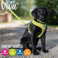 Ancol Viva Comfort Harness