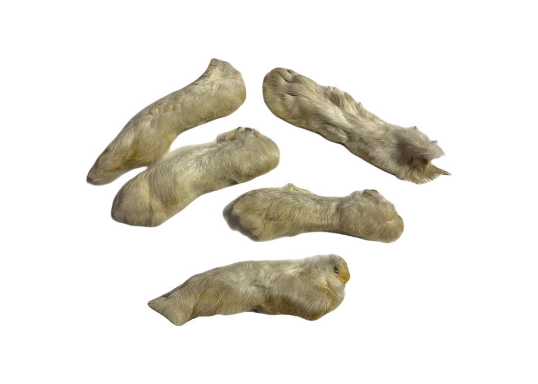 Hairy Rabbit Feet