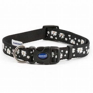 Black Daisy print collar
